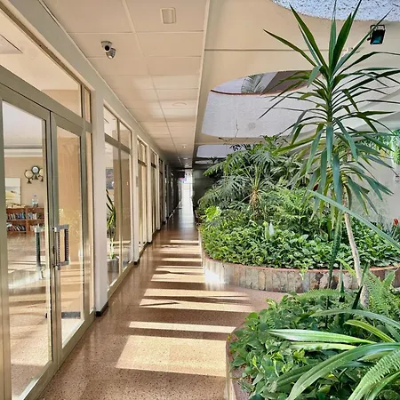 Tinache House Apartamento Playa del Inglés