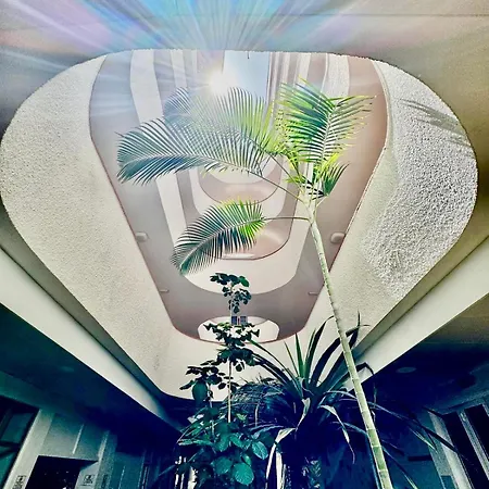 Apartamento Tinache House *