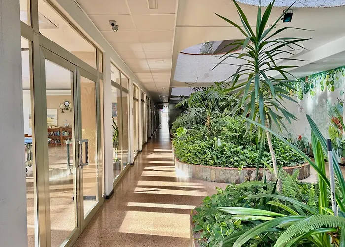 Tinache House Apartment Playa del Inglés