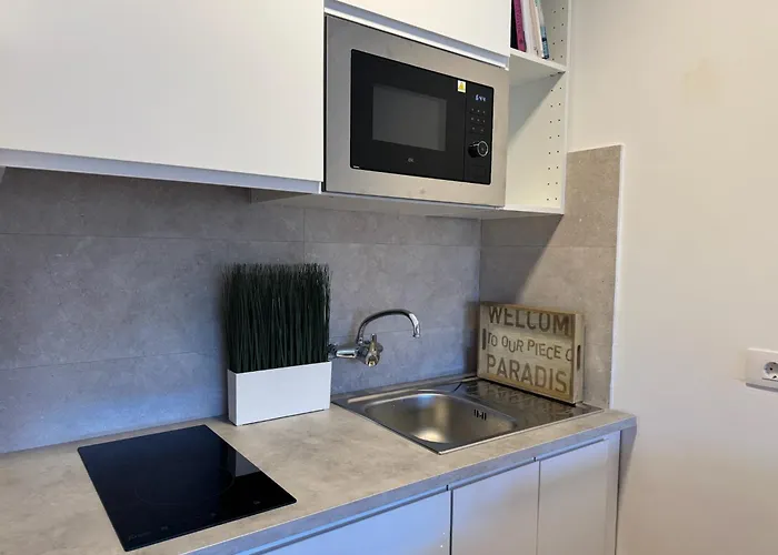 Apartment Tinache House *