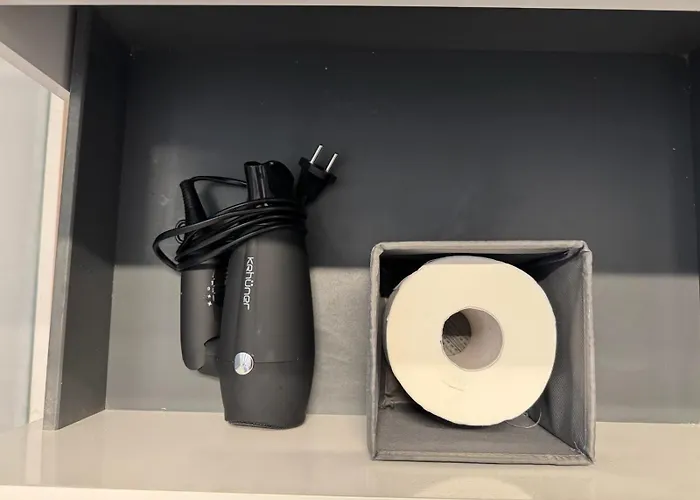 Apartment Tinache House *