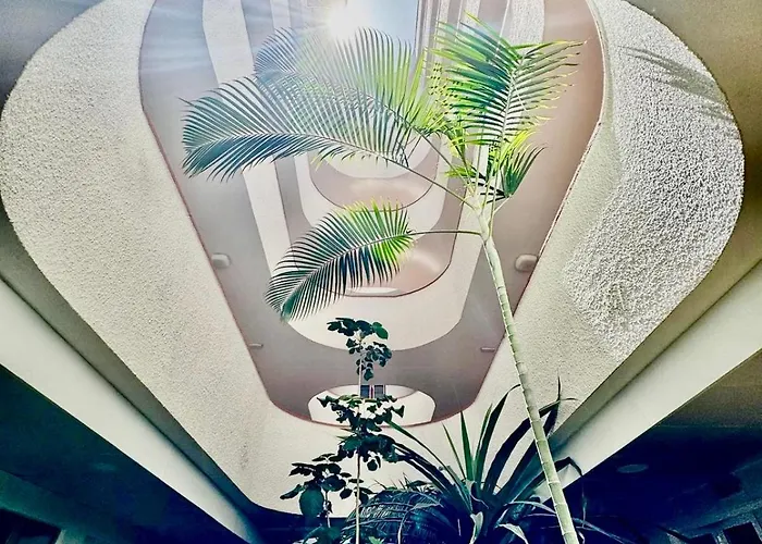 Apartment Tinache House *